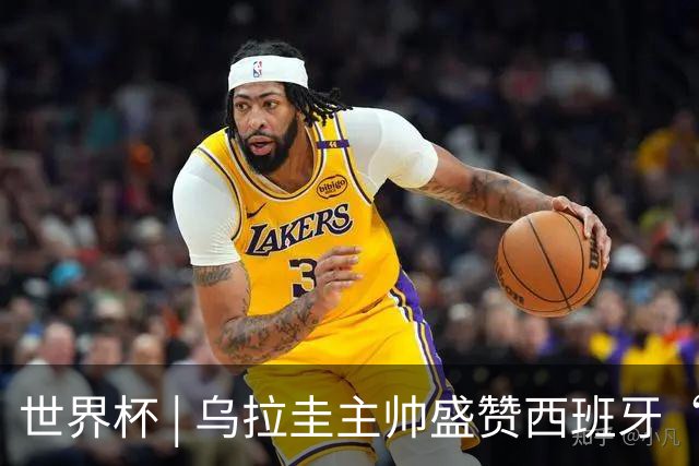 世界杯 | 乌拉圭主帅盛赞西班牙“精致足球”