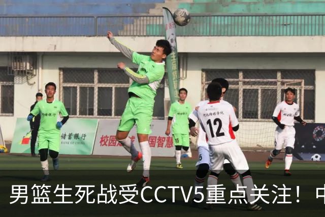 男篮生死战受CCTV5重点关注！中国队迎战中国台北队：落败将直接无缘男篮世界杯